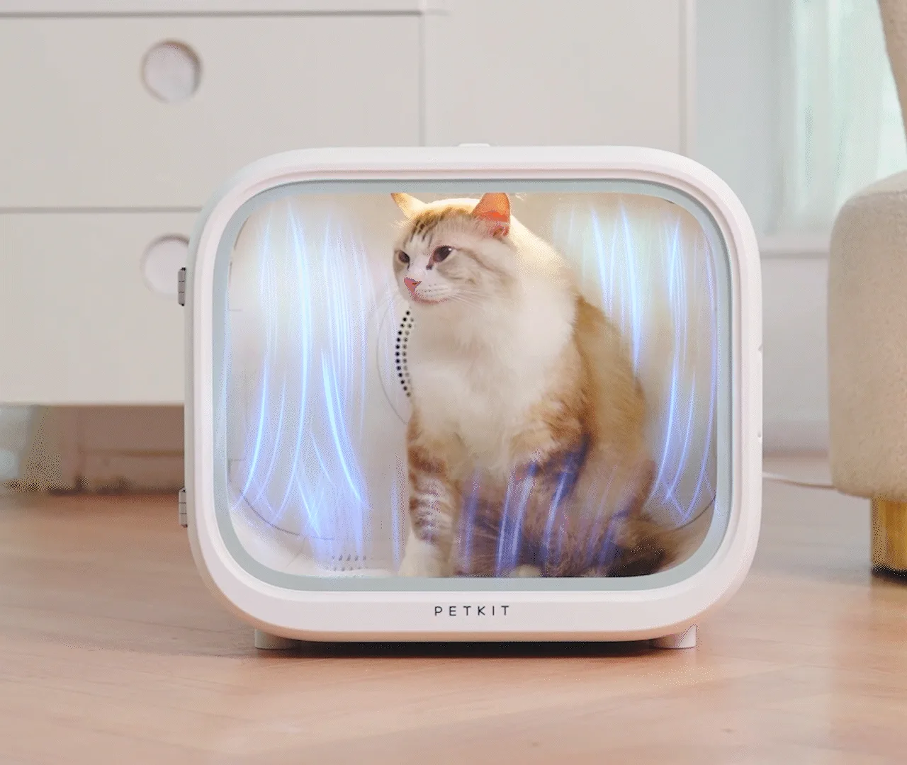 PETKIT AirSalon Max 바닥에서 위로 흐르는 바람을 표시한 제조사 공식 송풍 이미지