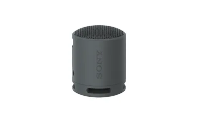 Sony SRS-XB100의 본체와 휴대용 스트랩