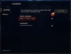 Riot account email address and Verify Now button