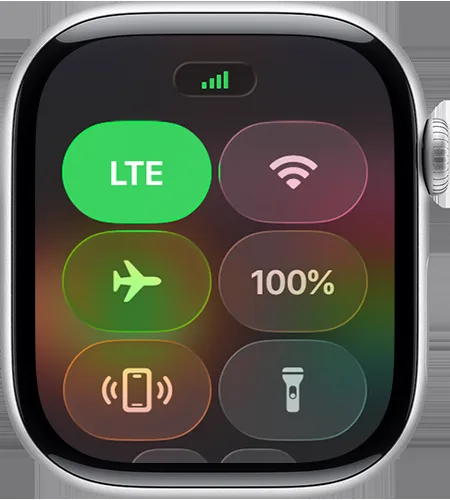 Apple 지원 문서의 워치 제어 센터 LTE 신호 표시
