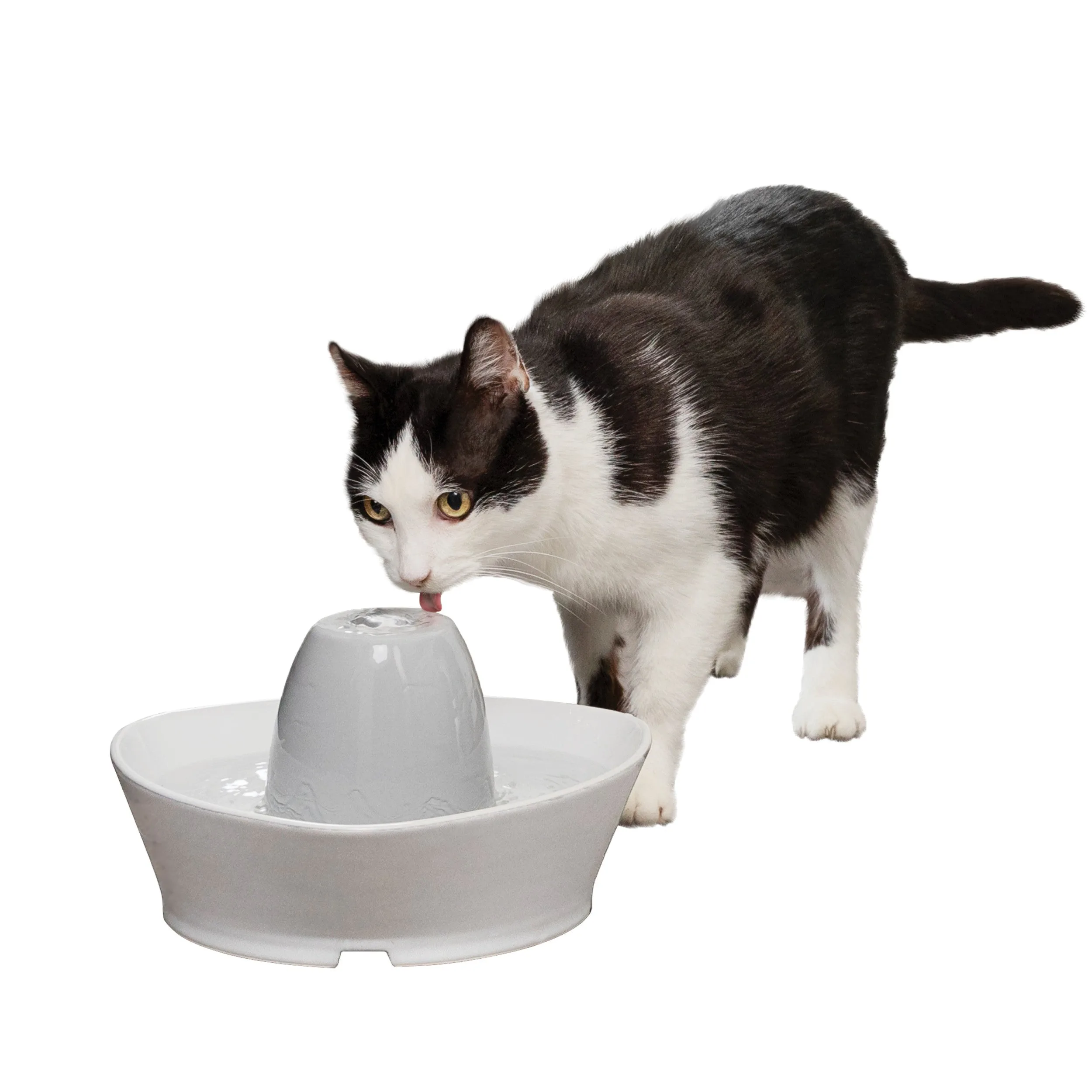 세라믹 그릇과 타워의 PetSafe Creekside