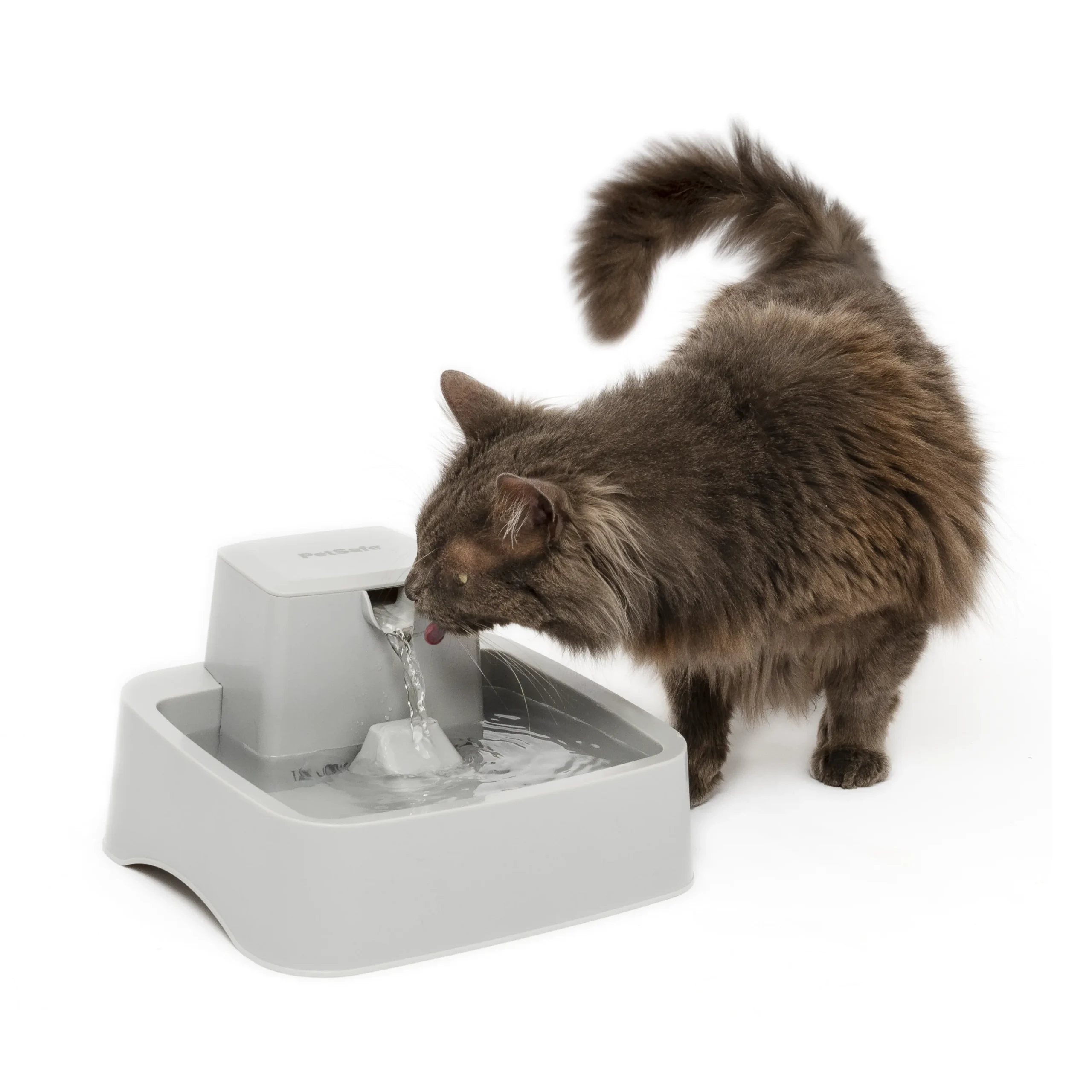 PetSafe Oasys 플라스틱 본체와 급수 타워